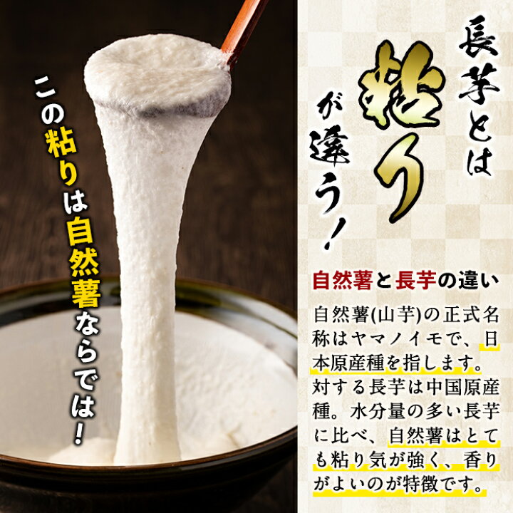 楽天市場 ふるさと納税 数量限定 鹿児島県志布志市産の自然薯 計1kg以上 1 2本 山菜の王者と呼ばれる自然薯は山芋とは粘りが違う 期間限定の旬の山菜をお届け 丸山 一 A3 111 鹿児島県志布志市