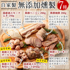 【ふるさと納税】鹿児島黒豚と国産鶏の無添加スモーク7種セット(計840g以上)お肉と塩だけの手作り燻製肉!体に優しい安心・安全な焼豚やジャーキーの詰め合せ【香り工房てこ】B0-014