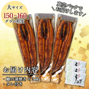 【ふるさと納税】鹿児島県大隅産くすだ屋のうなぎの蒲焼(大)3尾<計450g以上>国産ウナギのかば焼き真空パック!鰻丼、鰻重、ひつまぶしに【楠田養鰻】b0-066