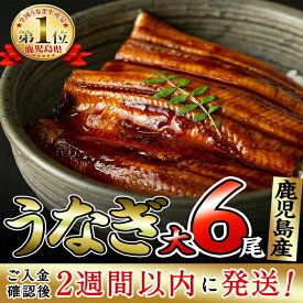 楽天市場 ふるさと納税 うなぎ 6尾の通販