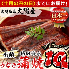 楽天市場 ふるさと納税 鰻 10尾 鹿児島の通販
