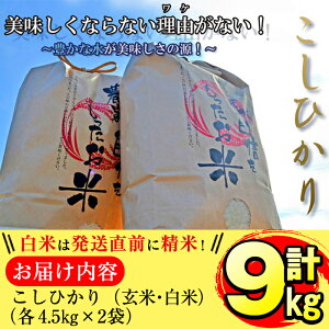 【ふるさと納税】<玄米>鹿児島県産なつほのか(計9kg・4.5kg×2袋)ご要望の多かった川崎さん自慢のおいしいお米(玄米)をお届け!【川崎農産】P8-039