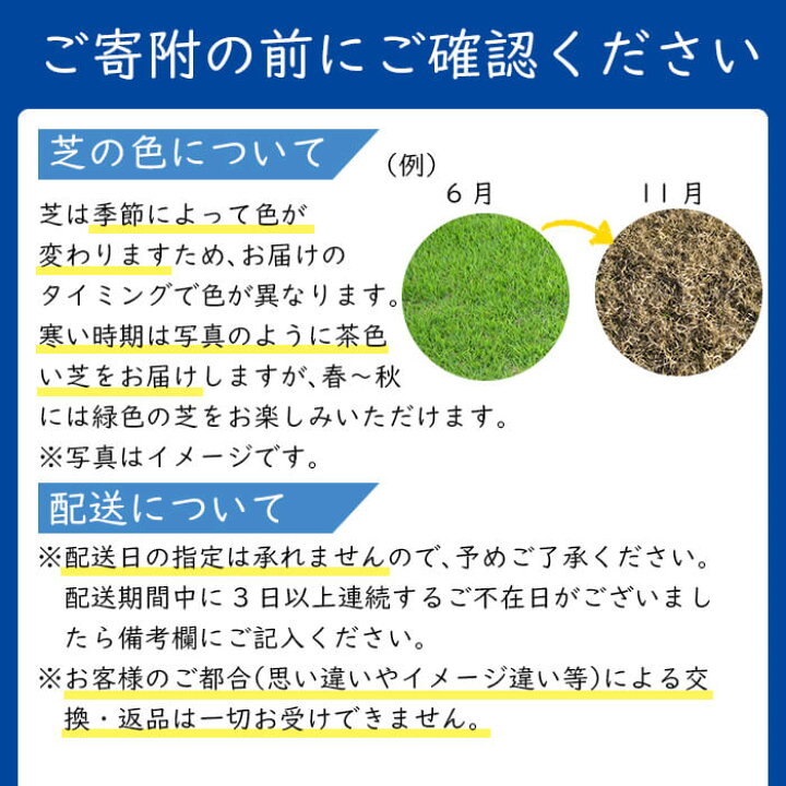 円 21新作モデル ふるさと納税 B5 144 天然芝 ゴルフやお庭に