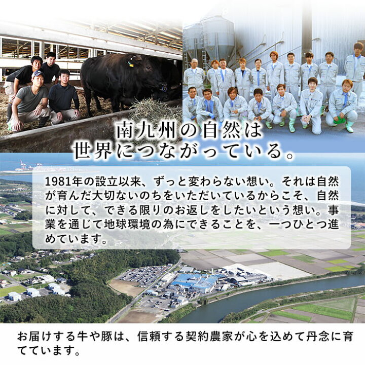 0円 70%OFFアウトレット ふるさと納税 鹿児島県産黒豚ヒレ 2本 約1kg 国産豚肉 とんかつ ヒレカツ コワダヤ 鹿児島県南さつま市 0円 70%OFFアウトレット ふるさと納税 鹿児島県産黒豚ヒレ 2本 約1kg 国産豚肉 とんかつ ヒレカツ コワダヤ 鹿児島県南さつま市