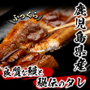 【ふるさと納税】うなぎ生産量日本一の鹿児島県産!熟練の技が冴える柳沢養鰻の鰻合計3尾<計480g以上>【柳沢養鰻】B0-051