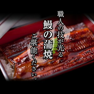 【ふるさと納税】うなぎ生産量日本一の鹿児島県産!熟練の技が冴える柳沢養鰻の鰻合計9尾<計1,440g以上>【柳沢養鰻】E-047