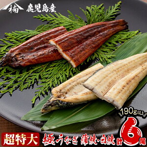 【ふるさと納税】鹿児島県大隅産!楠田の極うなぎ蒲焼き・白焼き超特大6尾(有頭190g以上×各3尾ずつ)こだわり真空パックで肉厚の鰻をお届け!蒲焼きのタレ付き【楠田淡水】D0-004