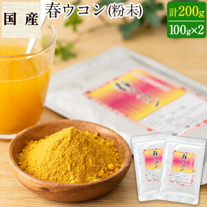 【ふるさと納税】完全無農薬・無化学肥料!奇跡のパパイヤ茶(10パック)酵素(パパイン)を含む青パパイアのお茶【村留ハーブ園】P8-047