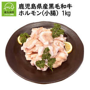 yӂ邳Ɣ[ŁzY јa z  500g × 2 pbN v 1kg _炩  Hׂ₷ W[V[ vv Y ܂邿傤   ē    Â݉ 