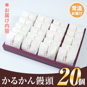 【ふるさと納税】《毎月数量限定》かるかん饅頭(20個)鹿児島の伝統菓子軽羹のセット!贈り物・ご進物にも【新富大生堂】