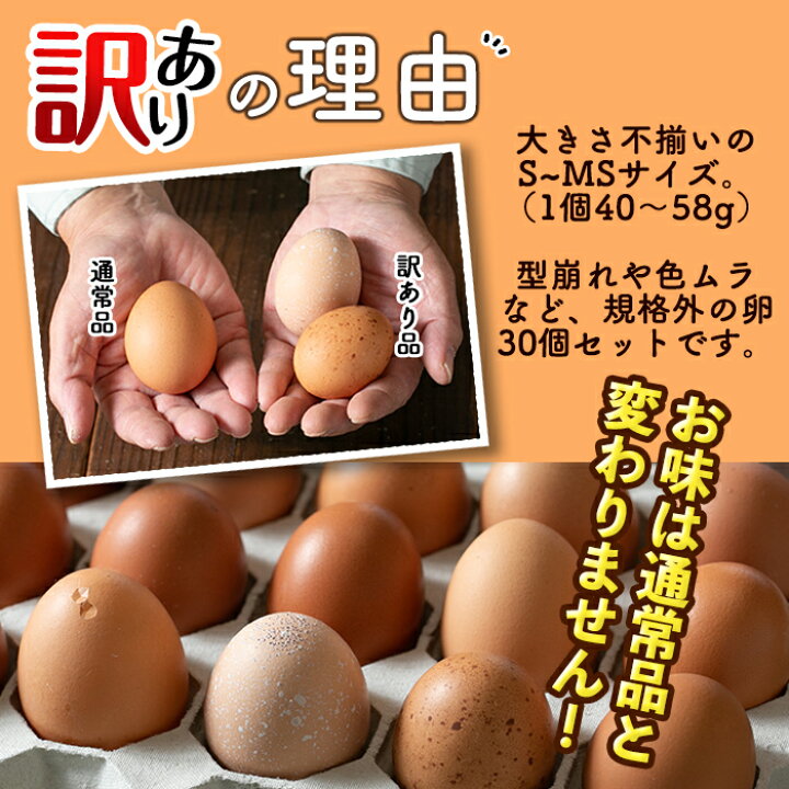 2700円 【2022春夏新色】 ふるさと納税 宇都宮市 輝翔卵 20個 10個入り×2箱 2700円 【2022春夏新色】 ふるさと納税 宇都宮市 輝翔卵 20個 10個入り×2箱