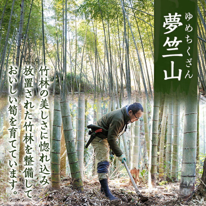楽天市場】【ふるさと納税】＜期間限定！2025年12月下旬～2026年2月末 
