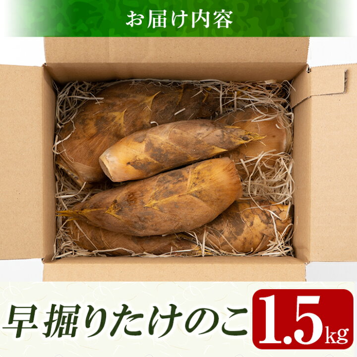 楽天市場】【ふるさと納税】＜期間限定！2025年12月下旬～2026年2月末 