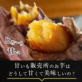 【ふるさと納税】鹿児島県産冷凍焼き芋紅はるか3kg【甘いも販売所】