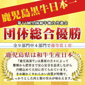 【ふるさと納税】【数量限定】D101鹿児島黒牛すきやきセット(合計約600g)鹿児島県産黒毛和牛でも最高ランク5等級のみ!カタロース肉とウデ肉のスライスをすき焼きで♪国産だから安心<D-101>【あいら農業協同組合】