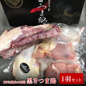 yӂ邳Ɣ[Łz܌{1HZbg(1kg) Y BY Y n{ {  Ƃ  l TT~  o[ H lߍ킹 yNSt@[z