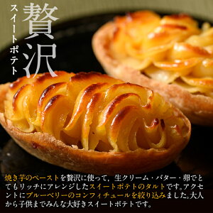 【ふるさと納税】≪数量限定≫鹿児島特産スイートポテトタルト湧水の里(55g×8個)焼き芋のペーストを贅沢に!ブルーベリーをアクセントに仕上げたさつま芋スイーツ!【きくすい堂】