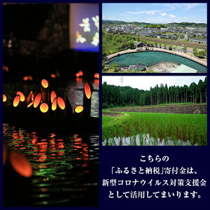 【ふるさと納税】【湧水町寄附受付】【返礼品なし】新型コロナウイルス対策支援寄附【湧水町】