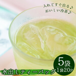 【ふるさと納税】【数量限定】暑い夏に!水分補給に!冷たい水出し湧水ティーバッグ5袋(5g×20パック入りヒモなし)【野本園】