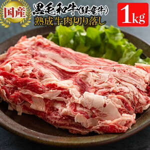 【ふるさと納税】黒毛和種経産牛熟成肉ステーキ【ホクシン】