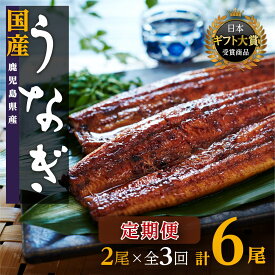 【ふるさと納税】【定期便】うなぎ 長蒲焼 2尾 4尾 3～6回配送 | ふるさと納税 うなぎ 高級 ウナギ 鰻 丑の日 国産 蒲焼 蒲焼き たれ うな丼 鰻丼 鹿児島 大隅 大崎町 ふるさと 人気 送料無料