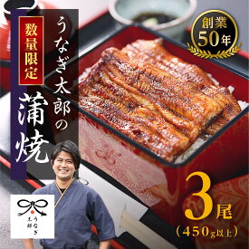 【ふるさと納税】【創業50年・職人による手焼き】大隅産うなぎ150g以上×3尾!! | 鹿児島県大崎町 大崎町 鹿児島 九州 うなぎ ウナギ 鰻 国産 国産うなぎ うなぎ蒲焼 蒲焼き 蒲焼 うなぎ蒲焼き