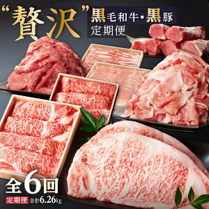yӂ邳Ɣ[Łzyցz јaE ґ  v6 v6.26kg | ӂ邳Ɣ[  ؓ  lߍ킹   ؓ  јa a  [X ؂藎Ƃ Ԃ