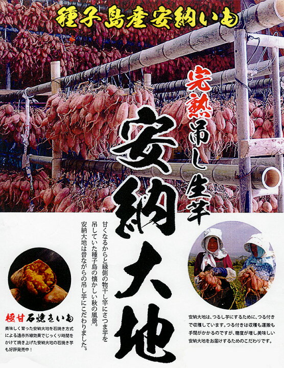 楽天市場】【ふるさと納税】<先行予約受付中!2022年11月中旬頃より順次発送予定>種子島産 安納芋(10kg)【種子島安納大地】 : 鹿児島県中種子町 楽天市場】【ふるさと納税】<先行予約受付中!2022年11月中旬頃より順次発送予定>種子島産 安納芋(10kg)【種子島安納大地】 : 鹿児島県中種子町