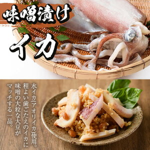 【ふるさと納税】種子島産の新鮮な魚を使用!種子島の海の幸セット!全3種5点!地蛸の味噌漬け(250g)・水イカの味噌漬け(250g)・トビウオの開き(3匹・個包装)!冷凍でお届け【山下鮮魚店】