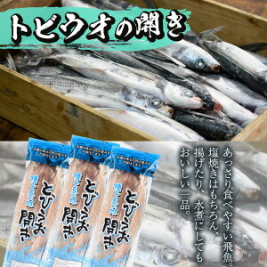 【ふるさと納税】種子島産の新鮮な魚を使用!種子島の海の幸セット!全3種5点!地蛸の味噌漬け(250g)・水イカの味噌漬け(250g)・トビウオの開き(3匹・個包装)!冷凍でお届け【山下鮮魚店】