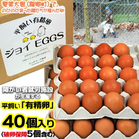 【ふるさと納税】奄美大島の平飼い有精卵　40個入り 鹿児島県 奄美群島 奄美大島 龍郷町 国産 奄美産 たまご 卵 エッグ 有精卵 平飼い お取り寄せ