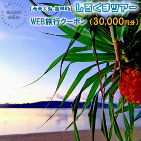 【ふるさと納税】【奄美大島：龍郷町】しろくまツアーで利用可能なWEB旅行クーポン（30000円分）