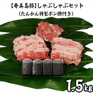 yӂ邳Ɣ[Łzy؁zԂԃZbg1.5kgi񂩂||tj