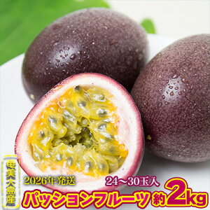yӂ邳Ɣ[Łz2026Ny哇Yzu₩pbVt[c 2kg  Q 哇  Y Y  ʕ  t[c ʕv 썑 gsJ 
