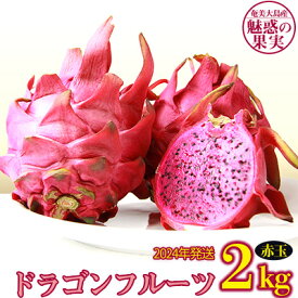 【ふるさと納税】奄美大島産 魅惑の果実・ドラゴンフルーツ(赤玉)2kg【2024年発送】
