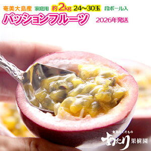 yӂ邳Ɣ[Łz2026NyʎzpbVt[c ƒp 2kg  Q 哇  Y Y ʕ   t[c 썑 gsJ Ẳʎ