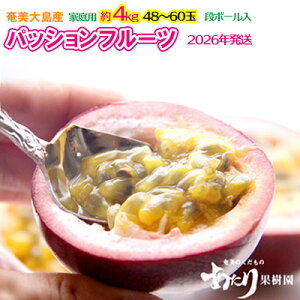 yӂ邳Ɣ[Łz2026NyʎzpbVt[c ƒp 4kg  Q 哇  Y Y ʕ   t[c 썑 gsJ Ẳʎ