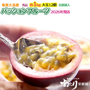 yӂ邳Ɣ[Łz2026NyʎzpbVt[c Gi 1kg  Q 哇  Y Y ʕ   t[c 썑 gsJ Ẳʎ 