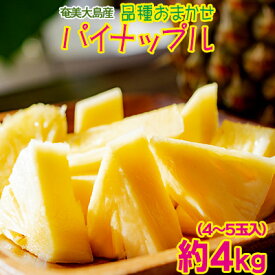 【ふるさと納税】【奄美大島産】品種おまかせ パイナップル（約4kg・4～5玉入）