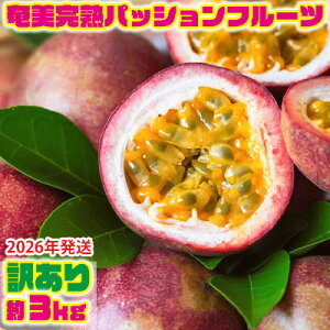 yӂ邳Ɣ[Łzy2026NznpbVt[c 󂠂i3kgj  Q 哇  Y Y  ʕ  t[c ʕv 썑 gsJ 