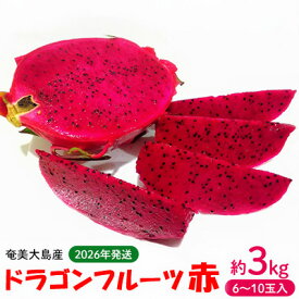 【ふるさと納税】2026年発送【奄美大島産】ドラゴンフルーツ赤 約3kg（6～10玉入） 鹿児島県 奄美群島 奄美大島 龍郷町 国産 奄美産 青果 果実 果物 くだもの フルーツ デザート ピタヤ 火龍果 南国 トロピカル お取り寄せ 先行予約 期間限定 数量限定
