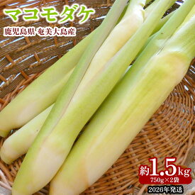 【ふるさと納税】【2026年発送】奄美大島産 マコモダケ 約1.5kg（750g×2袋） 鹿児島県 奄美群島 奄美大島 龍郷町 奄美産 青果 野菜 マコモ マコモタケ マコモズミ 食物繊維 鉄分 カリウム 葉酸 低カロリー 天ぷら 炒め物 お取り寄せ 農家直送 小分け
