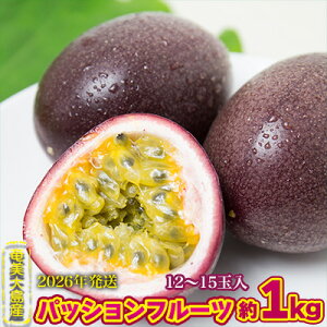 yӂ邳Ɣ[Łz2026Ny哇Yzu₩pbVt[c 1kg  Q 哇  Y Y  ʕ  t[c ʕv 썑 gsJ 