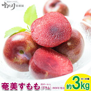 yӂ邳Ɣ[Łz2026Nyʎz哇Y (v)3kg  Q 哇  Y Y  ʕ  t[c  X v 썑 Ă