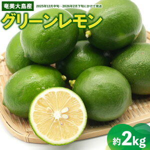 yӂ邳Ɣ[Łzyʎz哇Y O[ 2kg  Q 哇  Y Y  ʕ  t[c   EG m[bNX tb