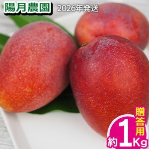 yӂ邳Ɣ[Łz2026Nyz_z@p}S[ 1kg t[c ʕ Ԍ ʌ s\ 썑 v[g yY ݂₰ Mtg   Ȃ  fU[g 