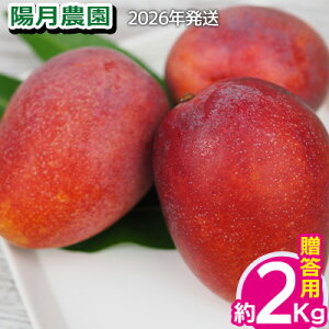 yӂ邳Ɣ[Łz2026Nyz_z@p}S[ 2kg Ԍ ʌ s\ t[c ʕ 썑 v[g yY ݂₰ Mtg  G Ȃ  fU[g 