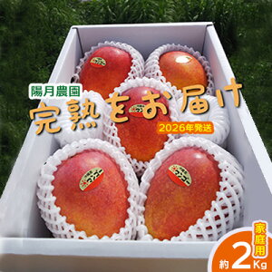 yӂ邳Ɣ[Łz2026Nyz_z@ƒp}S[ 2kg Ԍ ʌ s\ t[c ʕ 썑 v[g yY ݂₰ Mtg  G Ȃ  fU[g 