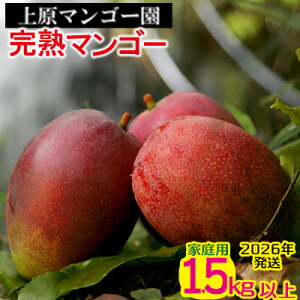 yӂ邳Ɣ[Łz2026N _ƒy㌴}S[zƒpn}S[@1.5kgȏ s\ n }S[ Abv 썑  t[c  ʕ ʎ s\ Yn ґ Z