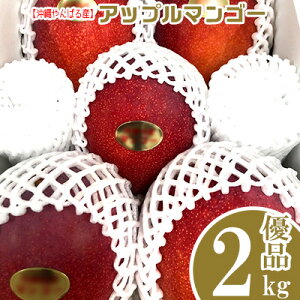 【ふるさと納税】【沖縄やんばる産】2kg　優品アップルマンゴー（Ms mango farm）